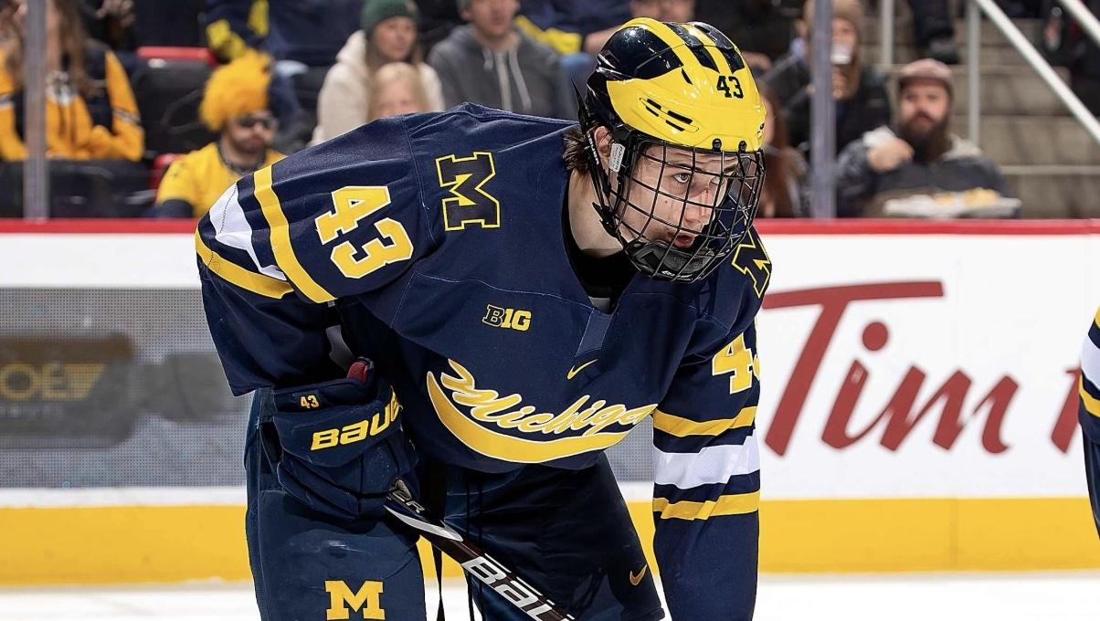 Quinn Hughes Michigan